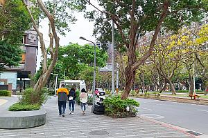 【台北新スポット】巨大LEDスクリーン「Taipei Lumitree(敦南之森)」は台北のオアシス♡ 敦南之森 TaipeiLumitree 台北のオアシス 台北新スポット LEDスクリーン 無料スポット 信義安和クリスマス