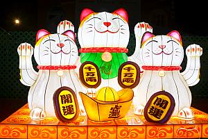 そして……ナビが1番楽しみにしているのが、一般の方々が制作するアイディアに富んだランタン展示のコーナーです。