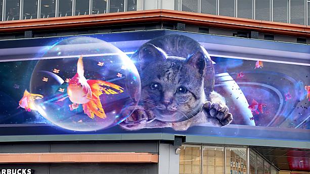 【猫の日】猫には目がない「猫奴」は新竹の「大魯閣湳雅廣場」に集合せよ！222の猫の日から巨大3Dスクリーンで猫のキュートな映像が放映されます♡猫の日