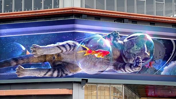 【猫の日】猫には目がない「猫奴」は新竹の「大魯閣湳雅廣場」に集合せよ！222の猫の日から巨大3Dスクリーンで猫のキュートな映像が放映されます♡猫の日