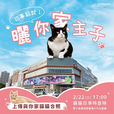 【猫の日】猫には目がない「猫奴」は新竹の「大魯閣湳雅廣場」に集合せよ！222の猫の日から巨大3Dスクリーンで猫のキュートな映像が放映されます♡猫の日