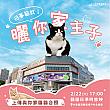 【猫の日】猫には目がない「猫奴」は新竹の「大魯閣湳雅廣場」に集合せよ！222の猫の日から巨大3Dスクリーンで猫のキュートな映像が放映されます♡猫の日