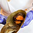 【台北グルメ】2025年も端午節で食べたいのは「台北福華大飯店(ハワードプラザホテル台北)」の粽(ちまき)！ 端午節 粽子 粽 ちまき チマキ 台北福華大飯店 ハワードプラザホテル台北 大龍峒保安宮 香包 江南春 珍珠坊 點心坊 作り方包み方