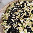 茶葉に柚子の花を入れた柚子花茶。近くで嗅いだら、とてもしあわせに包まれる香りがしました♪