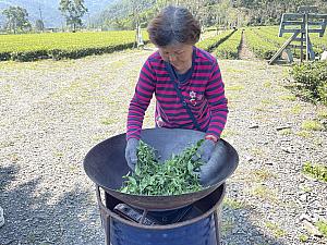 煎っているのは金萱茶