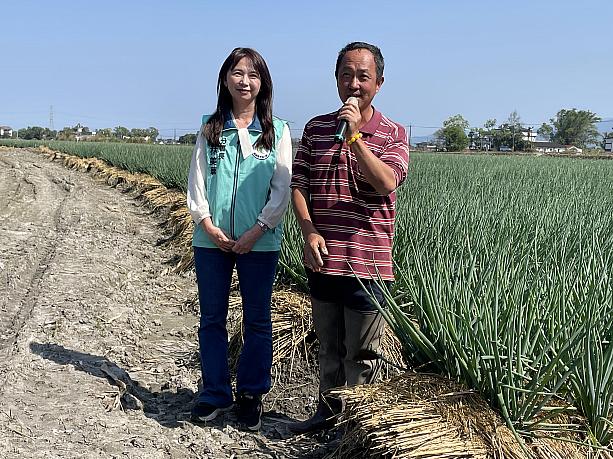 「蔥滿理想農場」の主は、林東海さん(写真・右)ここの三星葱は、みなさんお馴染み小籠包で名を馳せる「鼎泰豐」に13年ほど卸しているのですが、現在は林さん病気療養中のため暫く取引を休止中とのことで、様子を見て再開するのだとか。見た目からしてすごく美味しそうなので、有名店で扱われるのは納得です！