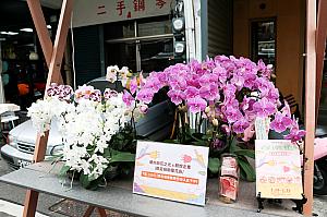 蘭の花は潮州の特産