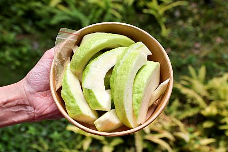 <b>「挽菓子REGETSEED」</b><br>自家農園のもぎたてグァバのカットフルーツはサックリとした食感でジューシー！あっという間に売り切れちゃってました！