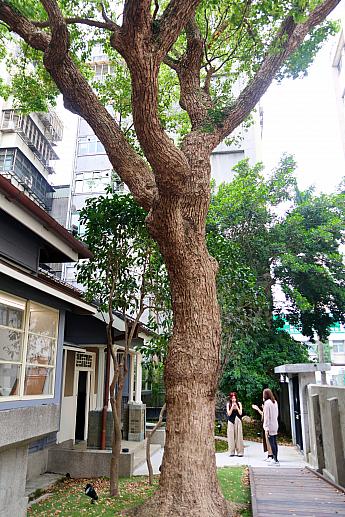 庭の木にも癒されます！