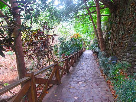【台湾旅行記】台湾最南端のリゾート地「墾丁国家公園」の人気ホテル「墾丁凱撒大飯店(Caesar Park Hotel Kenting/シーザーパークホテル墾丁)」の宿泊レポート リゾートホテル 朝食おいしい シャトルバス ビーチ エコ仕様 貸自転車 墾丁 台湾旅行記 墾丁凱撒大飯店シーザーパークホテル墾丁