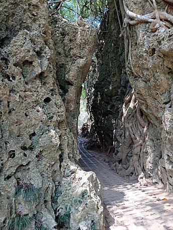社頂公園正門近くにある裂谷。サンゴの山の間に通路