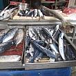 魚屋さん。海に近いのでお魚が新鮮。トビウオがありました