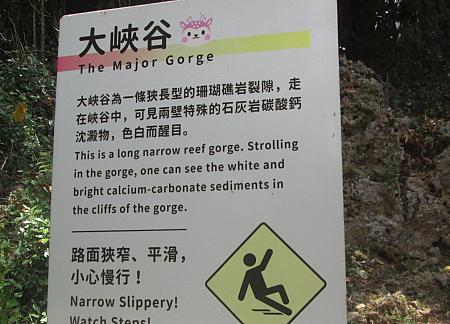 入口付近（正門側からみて)