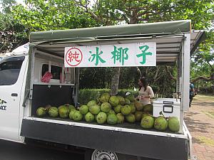 正門近くの道路脇でココナツを売っていました