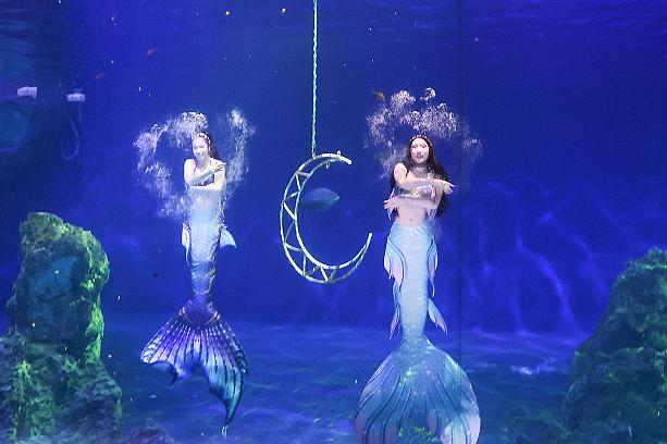異国情緒に満ち溢れた華麗な衣装を身にまとった人魚が、サラ・ブライトマンの美しい歌声にあわせて、気持ちよさそうに泳ぎ回ります！