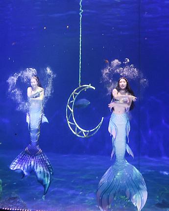 【花蓮観光】花蓮の「遠雄海洋公園」で人魚姫のショーにくぎ付け♡ 遠雄海洋公園 人魚 ジュゴン 花蓮観光花蓮旅行