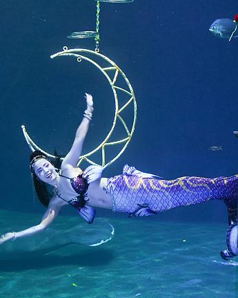 「印度洋心之旅(インド洋、心の旅)」と名付けられた人魚姫のショーが始まりました！