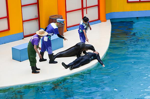 ちょうどアシカショーが始まる！ということで、「海獅劇場」へ移動し、鑑賞。