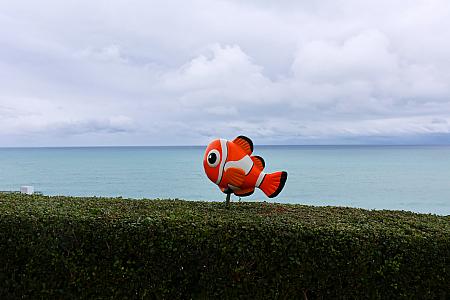 「遠雄海洋公園」は太平洋に面していて、「海洋」をテーマにしたアミューズメントパークです。