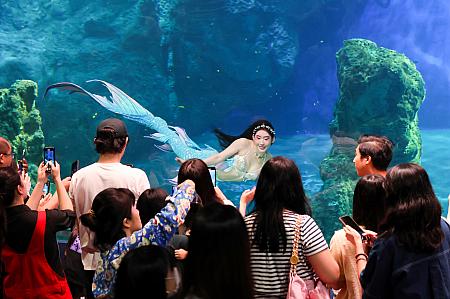 ショーが終了すると、写真タイムも開催されますよ～！