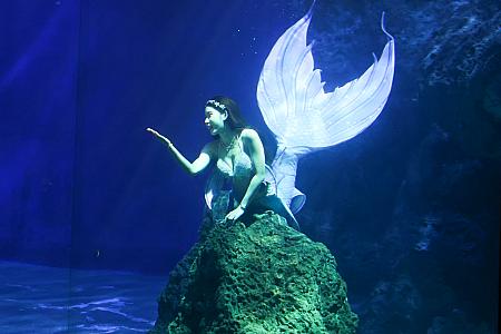ほんと人魚が海の中を泳いでいるかのように、神秘的で美しいショー。ちびっこもショーに引き込まれていってました。