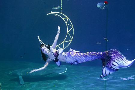 人魚が気持ちよさそうに泳ぐ姿が素敵！