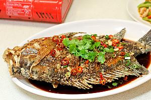海鮮料理が特におすすめらしいです