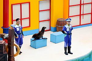 案外(失礼！)楽しい「遠雄海洋公園」