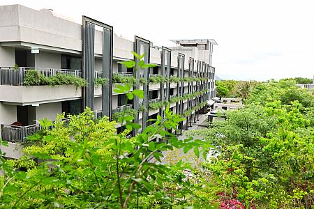 ハーブの力、ガチですごい！
