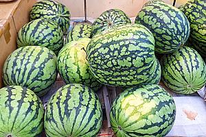 台湾旅行に来たら、果物屋さんをのぞいてみてくださいね！