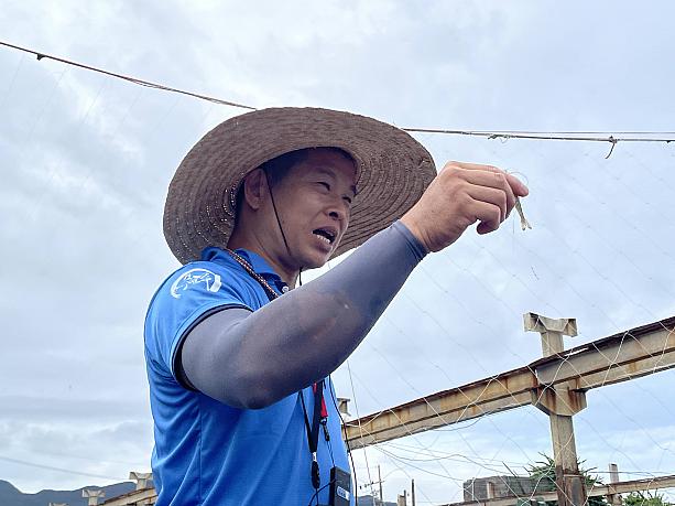 李勝興さんは、父親から家業を受け継いで二代目となります。ここでは九孔の他にも白蝦、海ぶどう、紫海膽を養殖しています