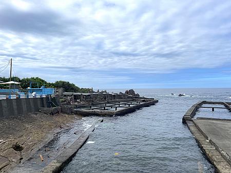 台湾の東北角は有名な海鮮産地のひとつ。海と繋がっているこの広大な養殖場では九孔（トコブシ）を養殖しています。7―8月の夏の時期に繁殖・孵化を開始、翌年4―5月の春に成貝へと成長。収穫時期は毎年秋の10月頃です