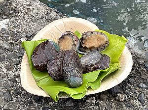 採れた手のものを自分でバーナーを使い、焼いて食べてみました！貝殻面は水分が吹き飛ぶまでバーナーの炎を当てます。中身のある面は表面がほんのり焦げるまで。もちろん新鮮で肉厚、しっかり噛み応えがあり、何も付けなくてもとっても美味しくいただけました！