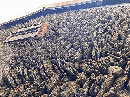 砂礔厝という龍門里旧集落特有の建築物。この集落の先祖たちが河砂や石を利用して防風や防水性に優れた建物を建てました