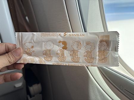 この他にも「おしぼり袋までスヌーピー柄」「限定グッズが免税販売されてる」「搭乗券持参でスヌーピーミュージアムの割引特典あり」などなど、ファンにはたまらない演出がいっぱいで、スヌーピーファンに贈る、究極の空の旅が楽しめるんです！