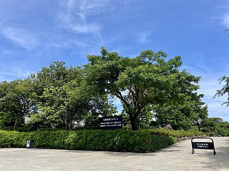 淡水の山奥に約5年の歳月をかけて4000坪の広さを誇る癒しスポット「晴花鹿苑 HARUHANA」が6月中旬にオープンしました