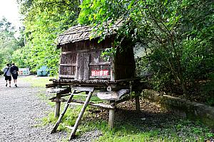 ここからは自由行動で、ひたすら歩いていくのみ！