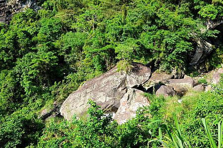 日頃運動不足のナビでも、空気がいいからか、それともあまり距離や高低差がないからか、楽々歩いて入口へ帰れました！きっと出口が通じたらもっと楽ちんなはず！