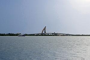 大鵬湾の景色を楽しみながら歩くこと約5分、すると……