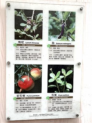 前身の「濟安青草行」は、台北エリアの青草茶業者に主要な原料を供給していた、50年の歴史を持つ老舗です。こちらは濟安青草行があった「青草巷」の様子。