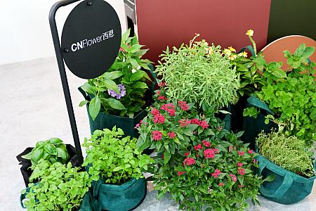 【台湾人気店コラボ】食品EC「TASTE by MMHG」×お花屋さん「CNFLOWER」がタッグを組んだ中秋節の月餅ギフト発売中！ 中秋節 月餅 TastebyMMHG CNFlower CNSalon 台北土産 台湾土産 季節限定 台北観光 台湾観光 台北旅行台湾旅行