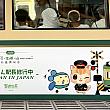 <b>台湾・高雄から、海辺のレトロ電車に乗ってやってきた、旅する猫駅長の物語</b><br><br>高雄MRT「橋頭糖廠」駅でのんびりと駅長業務をこなしていた蜜柑(みかん)駅長が、なんと今、日本の江ノ島電鉄で『駅長修行』をしているんです。