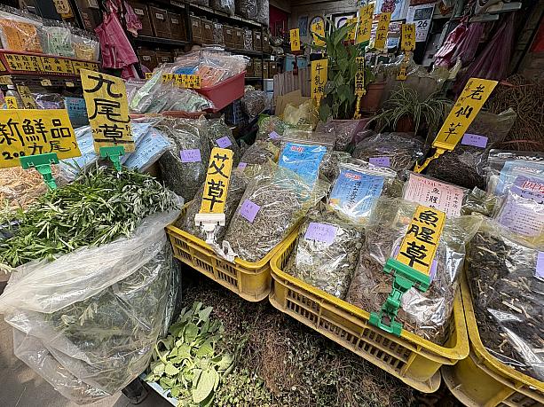 青草巷には、台湾産を中心とした薬草が約200種揃うといわれています