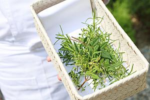 そして、「Le Jardin夏登法式鐵板燒」の最大の特徴は、ハーブを多用している点にあります。なんと庭はハーブガーデンになっていて、当日シェフ自らハーブを採ってきて、料理に使用しているこだわりぶりなんです。
