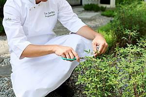 そして、「Le Jardin夏登法式鐵板燒」の最大の特徴は、ハーブを多用している点にあります。なんと庭はハーブガーデンになっていて、当日シェフ自らハーブを採ってきて、料理に使用しているこだわりぶりなんです。