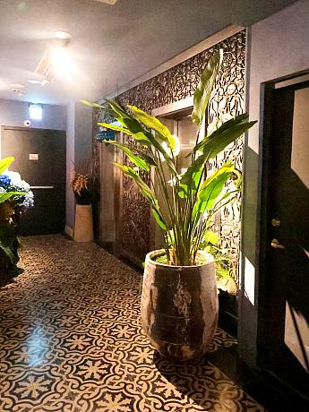 エレベーターに乗り、ナビが宿泊する部屋がある3階まで行ったら、廊下からして異国情緒たっぷり！