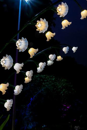 <b>B. 第二幕 ガーデンファンタジー</b><br>ヒナギク、スズラン、アサガオ、ヒヤシンスなどの光の花が幻想的な世界を彩ります。