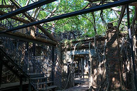 長い間放置されていたためガジュマルに浸食され、現在「樹屋」と呼ばれる姿に。カメラに収めたい神秘的な雰囲気が漂います。