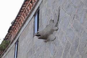 排水溝が魚の形！結構リアル…