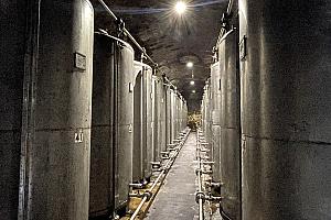 貯蔵庫のある通路は特にお酒の香りが強かったです！！